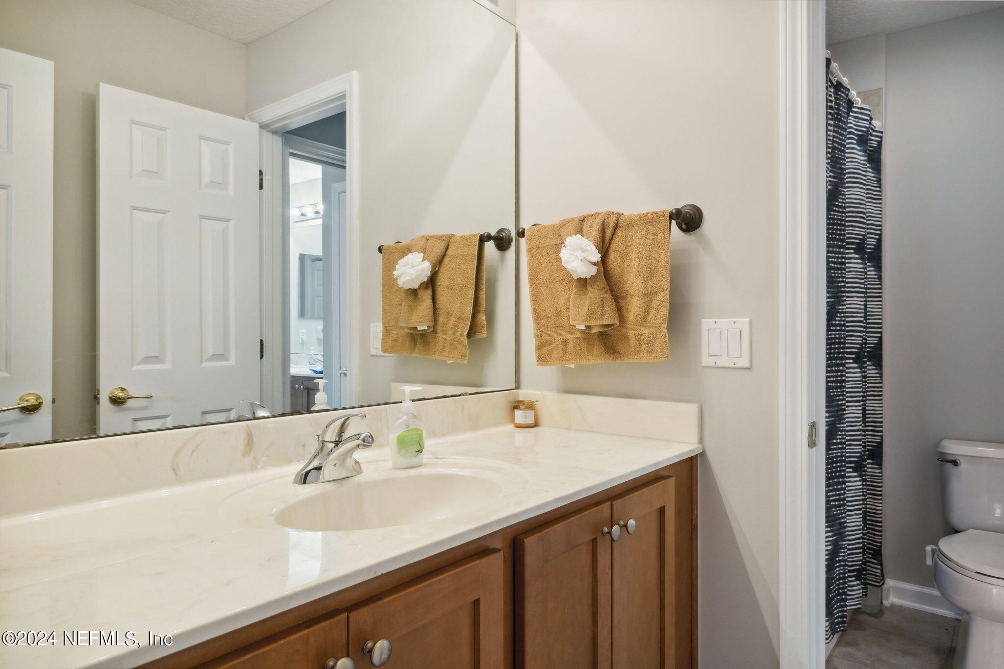 1403 Eagle Crossing Drive Orange Park, FL 32065 - Photo 22 of 71 a bathroom with a sink and mirror with toilet