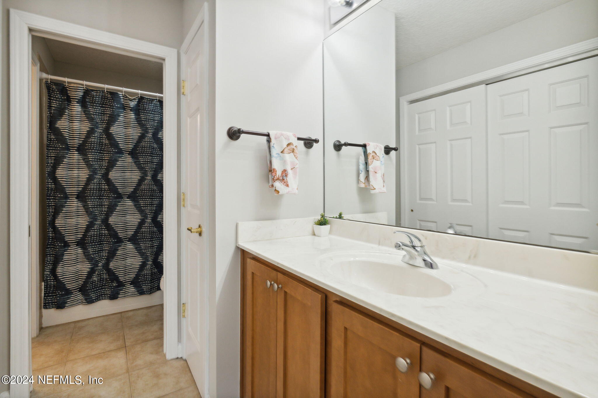 1403 Eagle Crossing Drive Orange Park, FL 32065 - Photo 27 of 71 a bathroom with a sink and a mirror