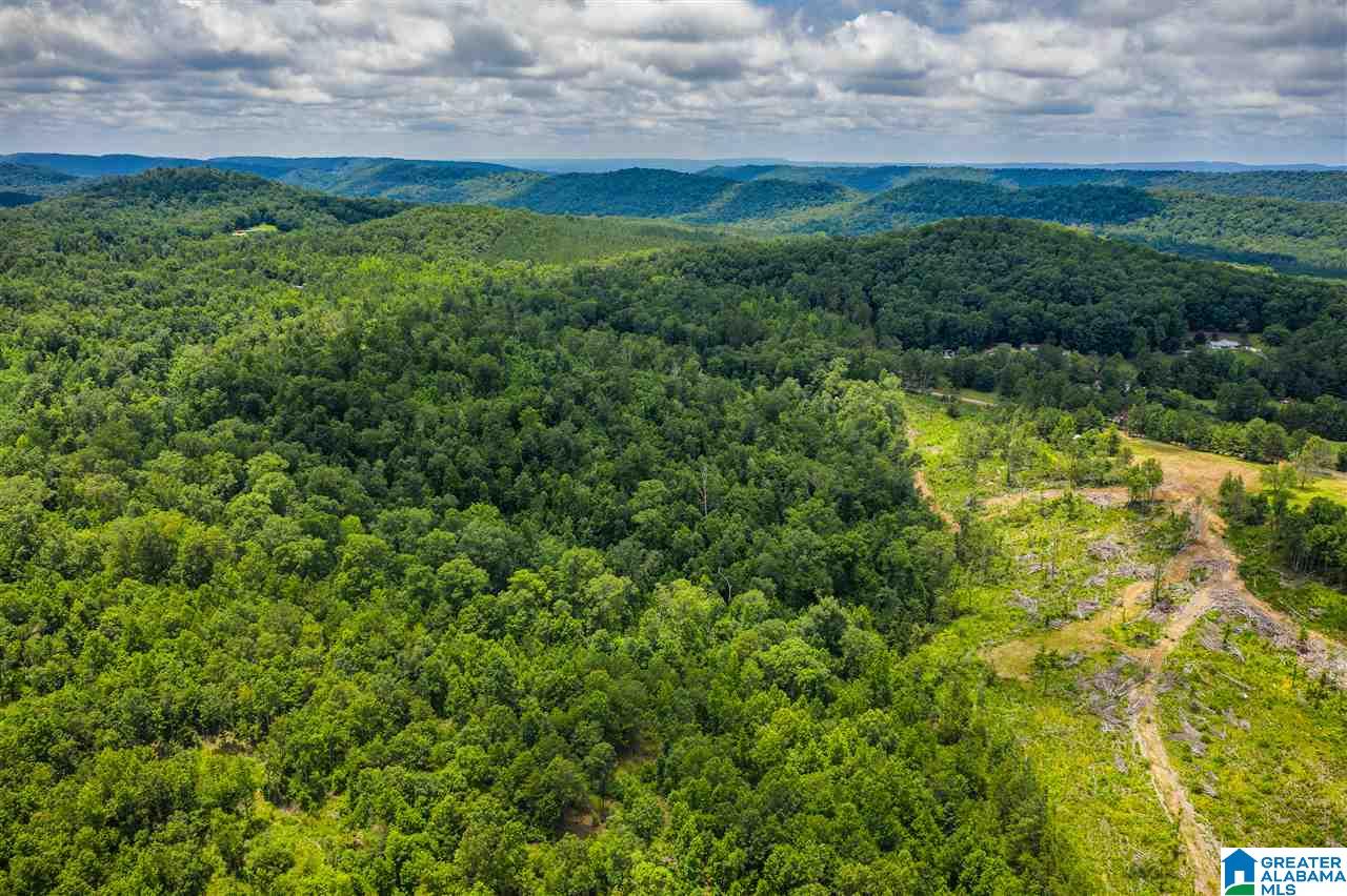 0 Highway 75, Unit 5032 Oneonta, AL 35121 - Photo 17 of 18