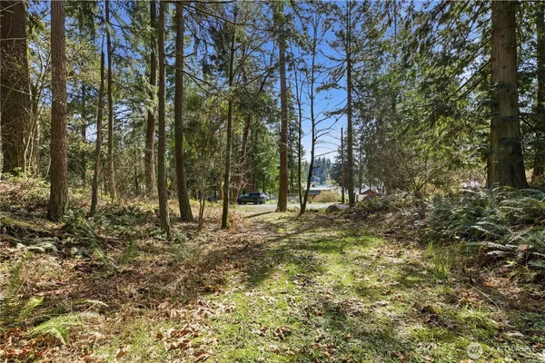 a view of a yard with trees