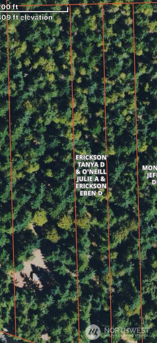 0 West Clear Lake Road East Eatonville, WA 98328 - Photo 18 of 18 a view of balcony