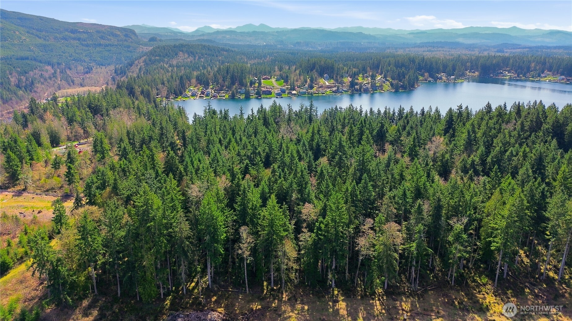 0 West Clear Lake Road East Eatonville, WA 98328 - Photo 3 of 18 a view of a lake with a mountain in the back
