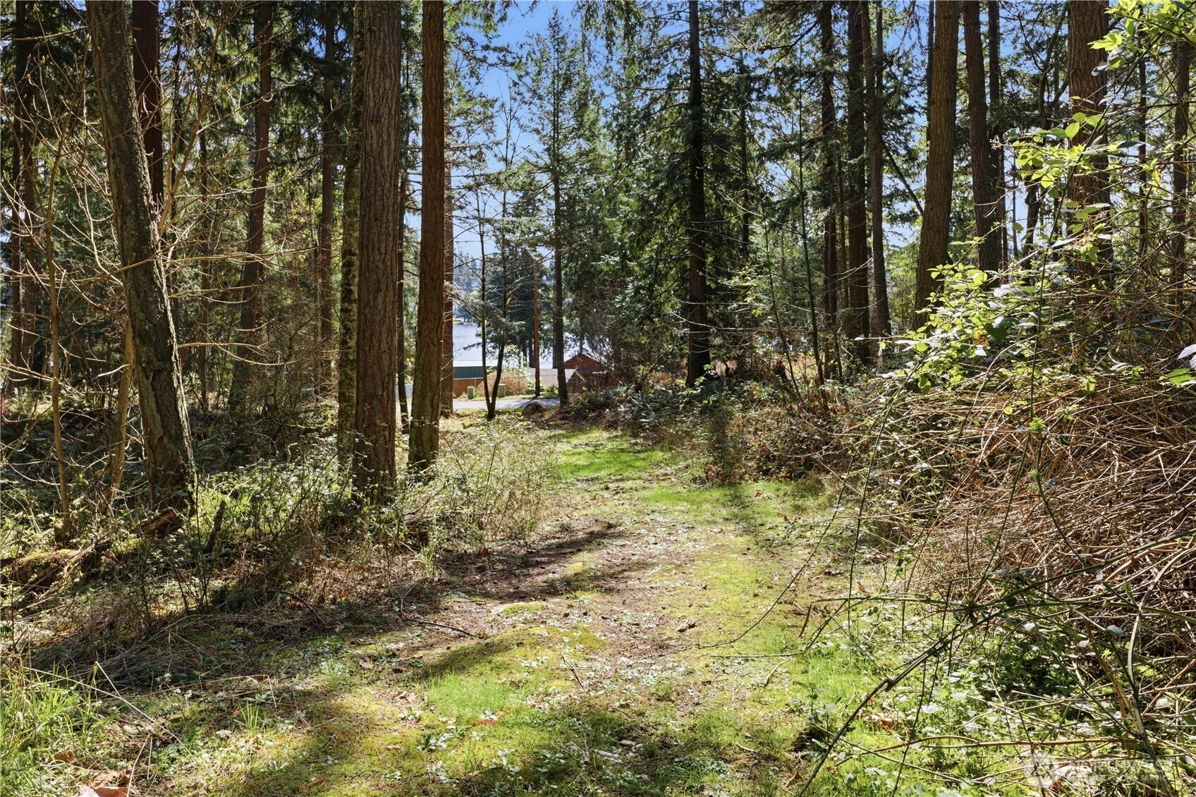 0 West Clear Lake Road East Eatonville, WA 98328 - Photo 6 of 18 a view of outdoor space and trees