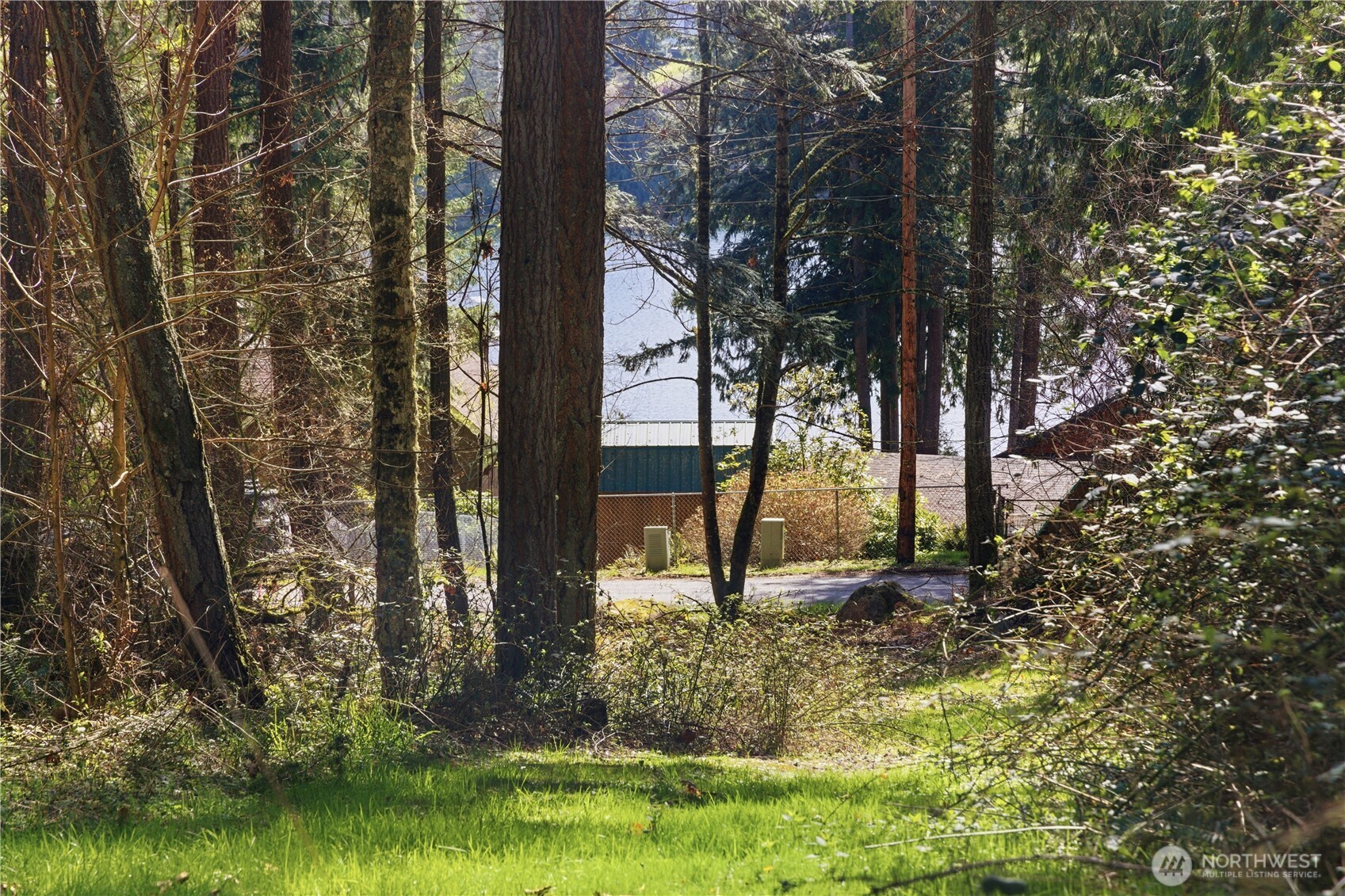 0 West Clear Lake Road East Eatonville, WA 98328 - Photo 7 of 18 a view of a backyard