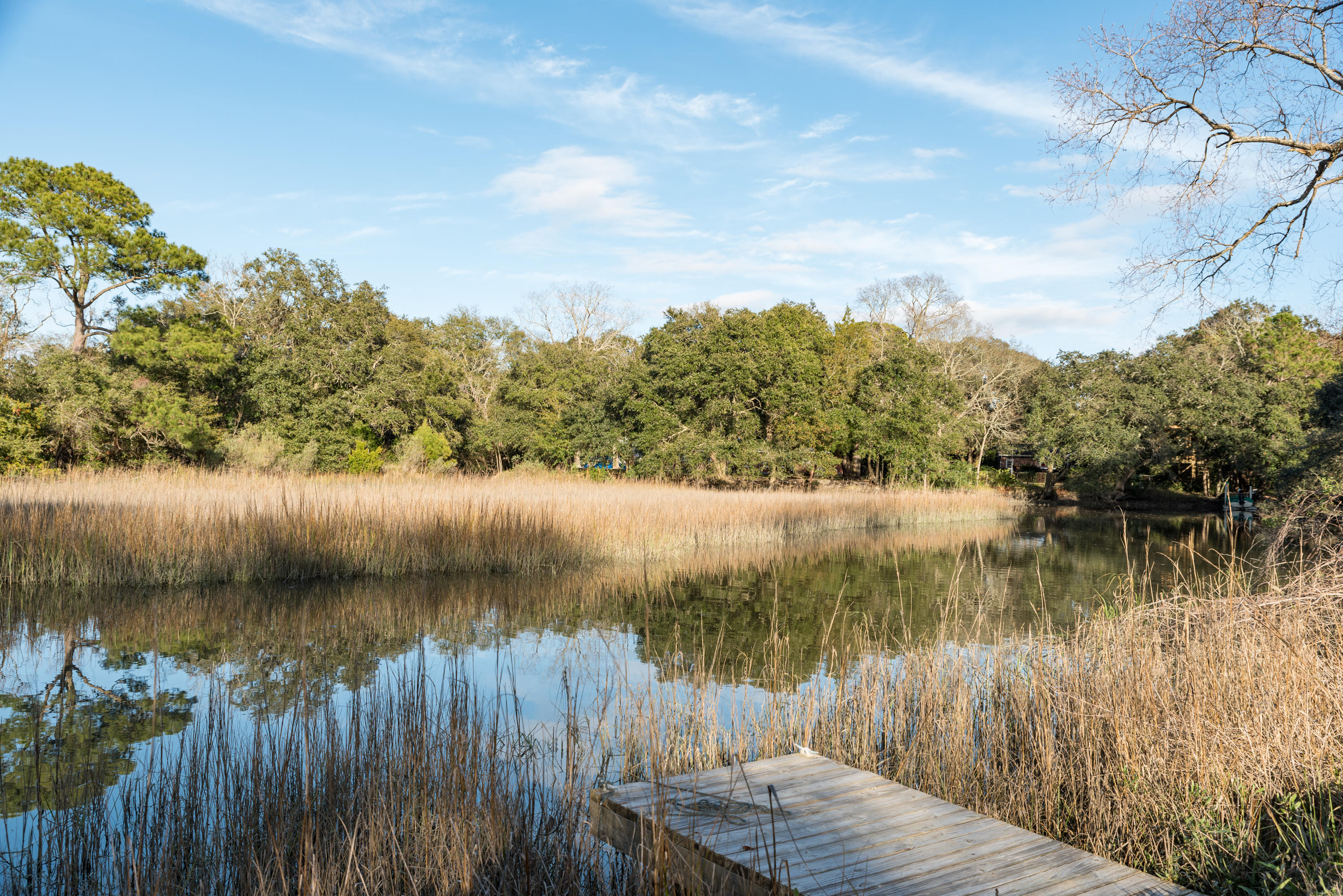 1180 Harbor View Road Charleston, SC 29412 - Photo 39 of 47 1180 Harbor View Rd-37