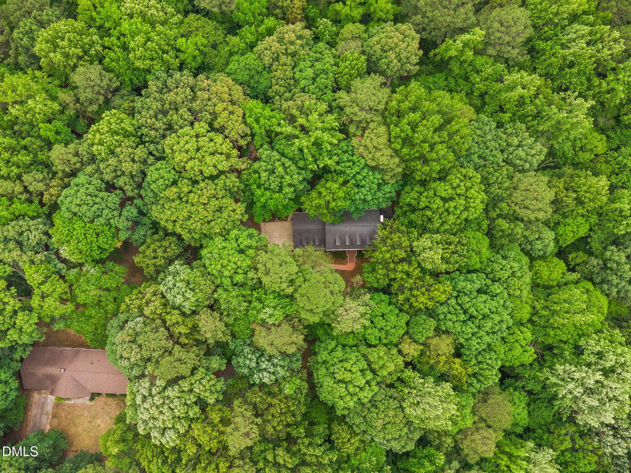 9913 Longford Drive Raleigh, NC 27615 - Photo 72 of 93 36_DJI_0906