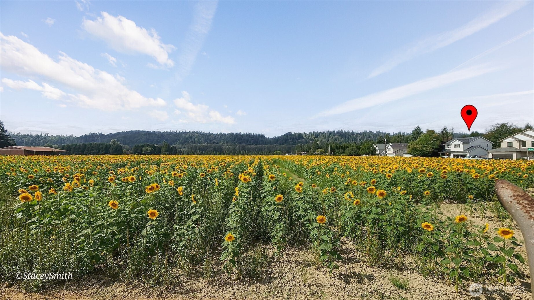 31922 Northeast 55th Street Carnation, WA 98014 - Photo 39 of 40
