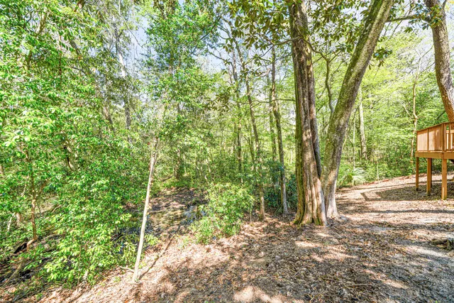 a view of backyard with green space