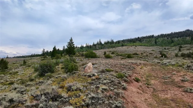 a view of a dry yard with trees