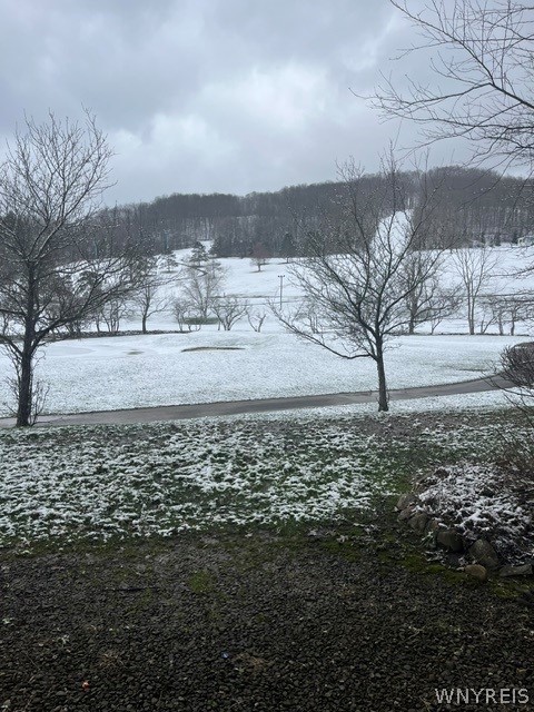6447 Holiday Valley Road, Unit 101/1032 Ellicottville, NY 14731 - Photo 9 of 12