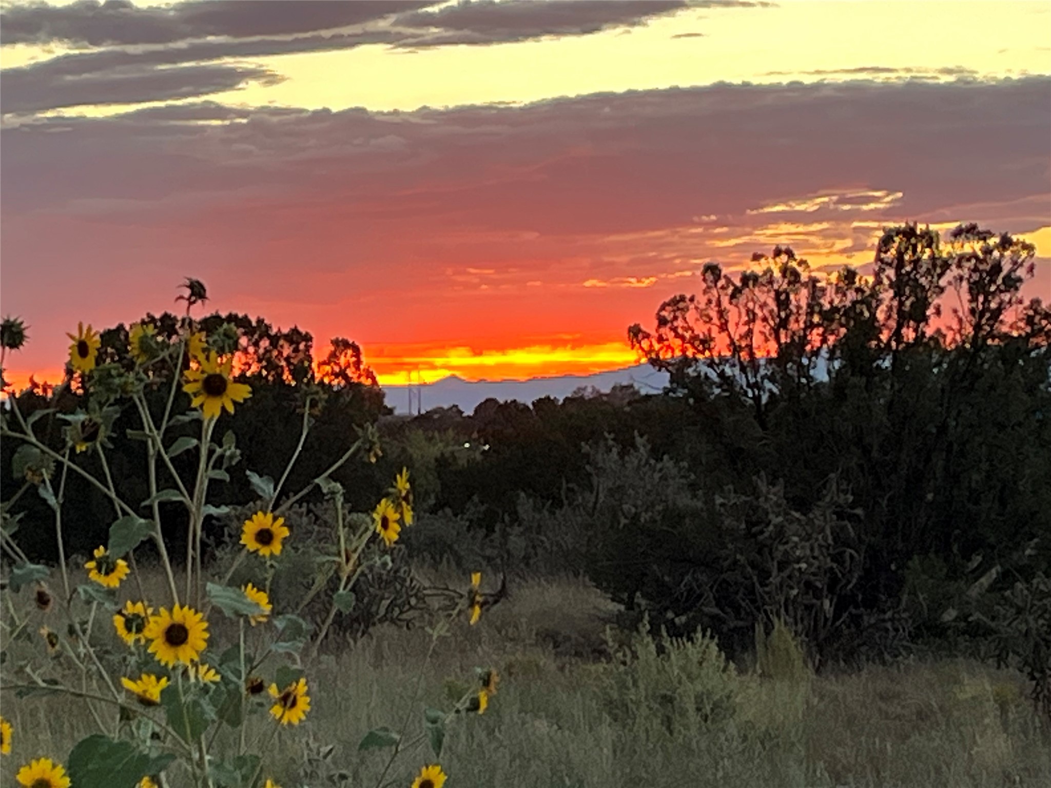 23 Monterey Road Santa Fe, NM 87508 - Photo 23 of 23 Amazing sunsets!