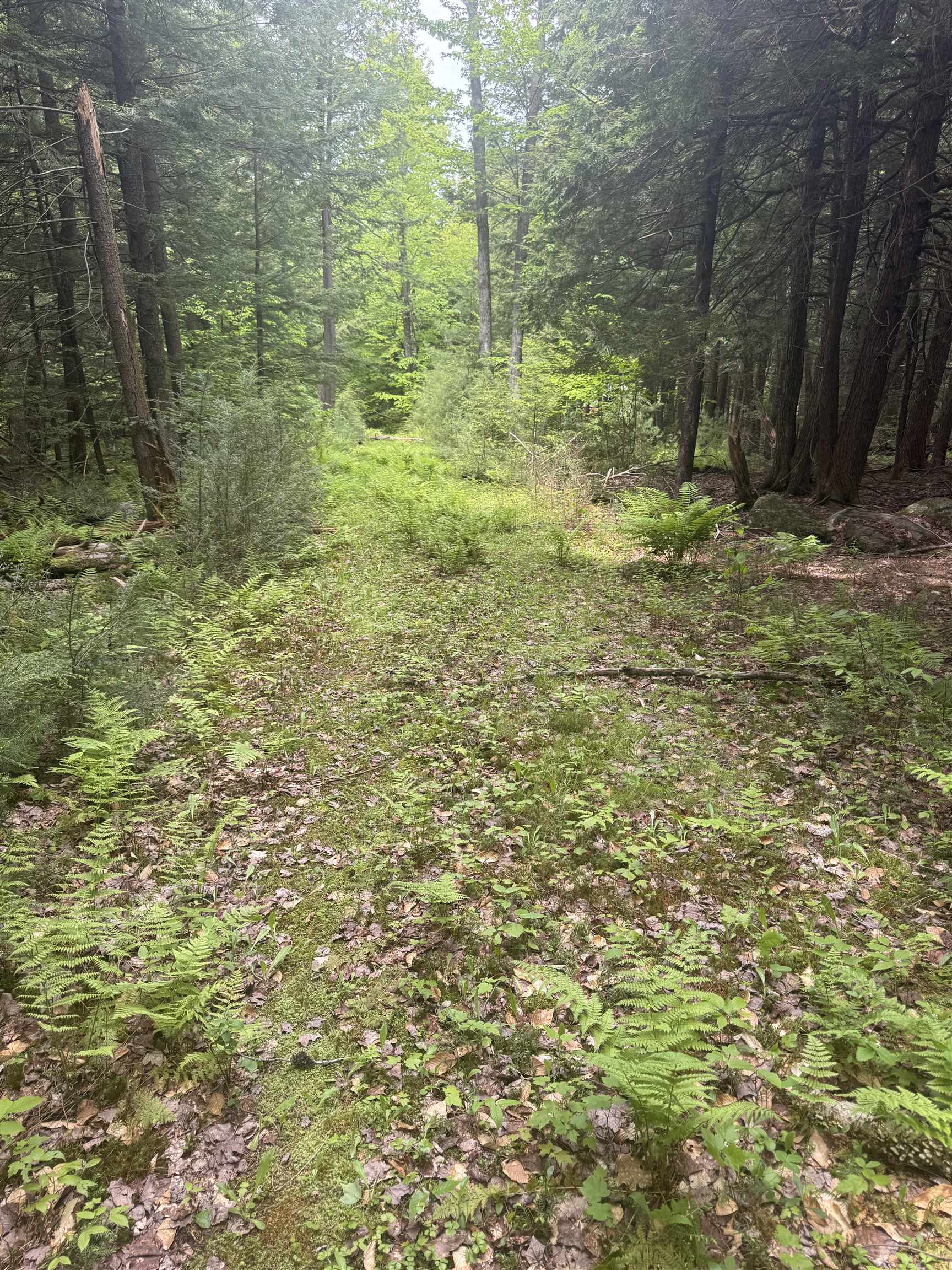 Lot 13 Beach Pond Road Wolfeboro, NH 03894 - Photo 12 of 17