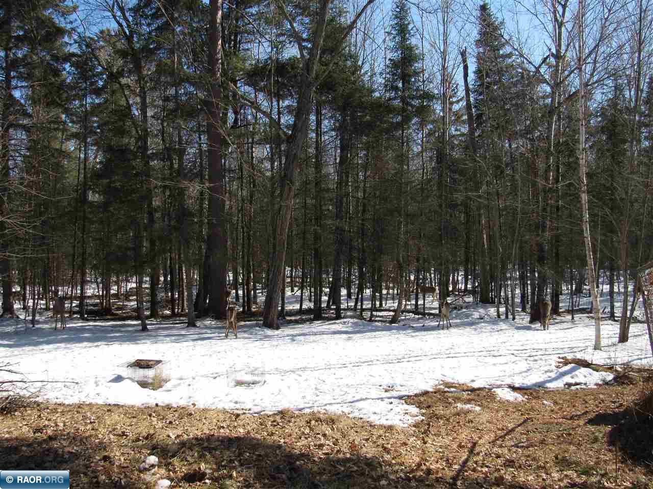 6146 Wahlsten Road Tower, MN 55790 - Photo 19 of 19