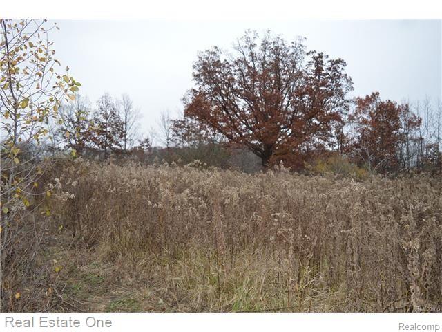 Par B Musson Road Howell, MI 48855 - Photo 24 of 28