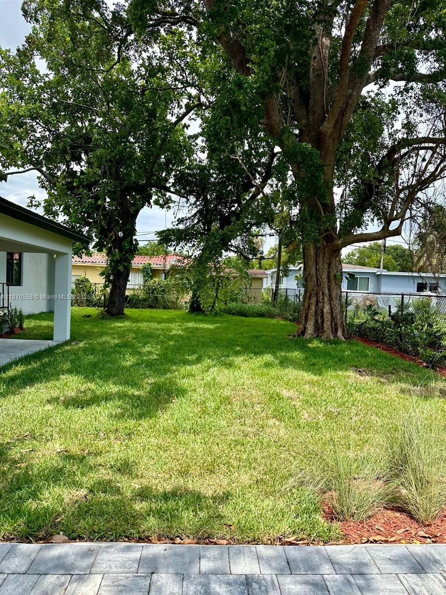 929 Northwest 60th Street Miami, FL 33127 - Photo 4 of 58 a view of a yard with plants and large trees