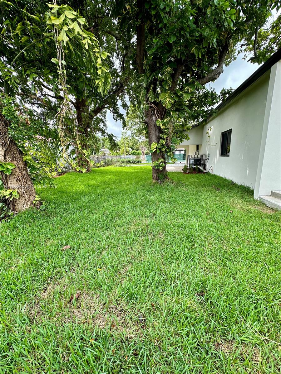 929 Northwest 60th Street Miami, FL 33127 - Photo 43 of 58 a tree in the garden of a house