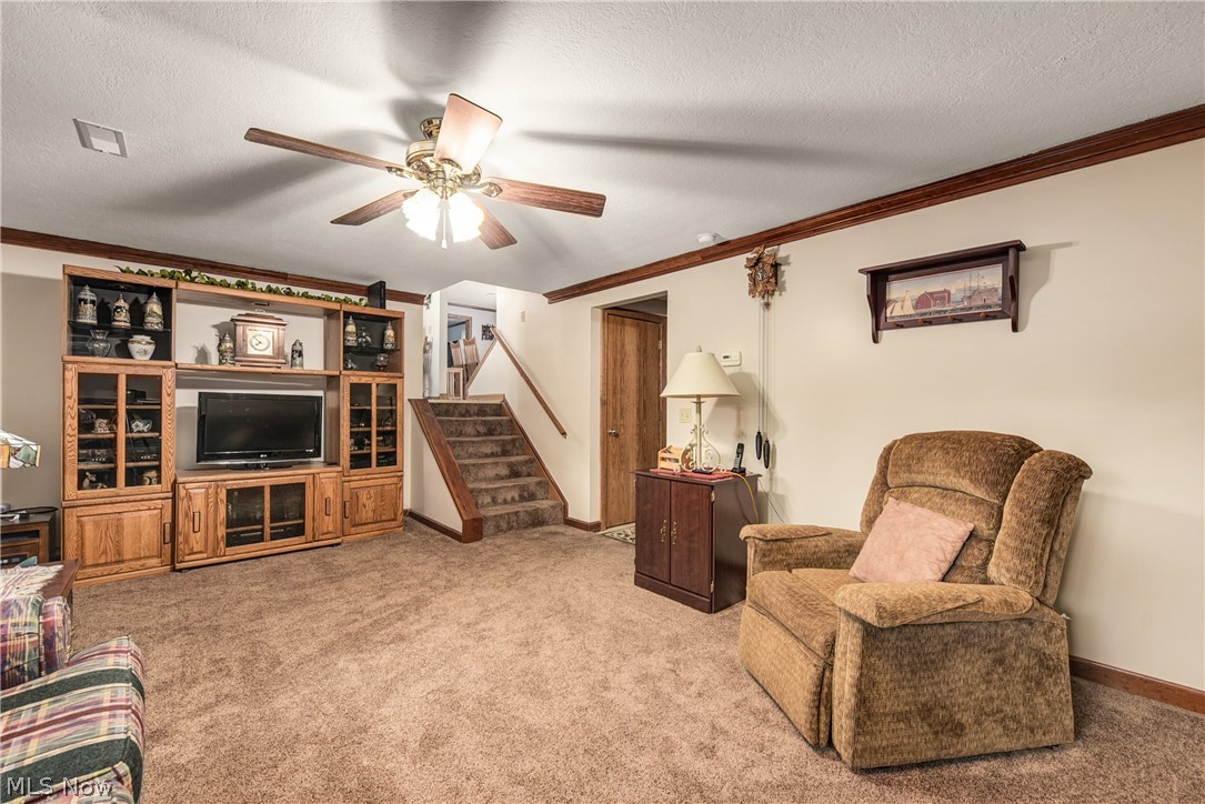 46575 Whitney Road Wellington, OH 44090 - Photo 24 of 35 Gallery Image 24