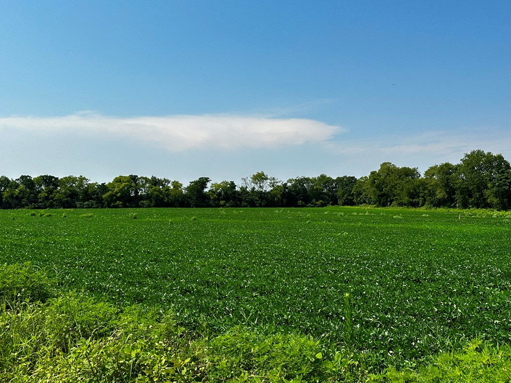 2.83-acres Burdeshaw Road Dothan, AL 36301 - Photo 5 of 11