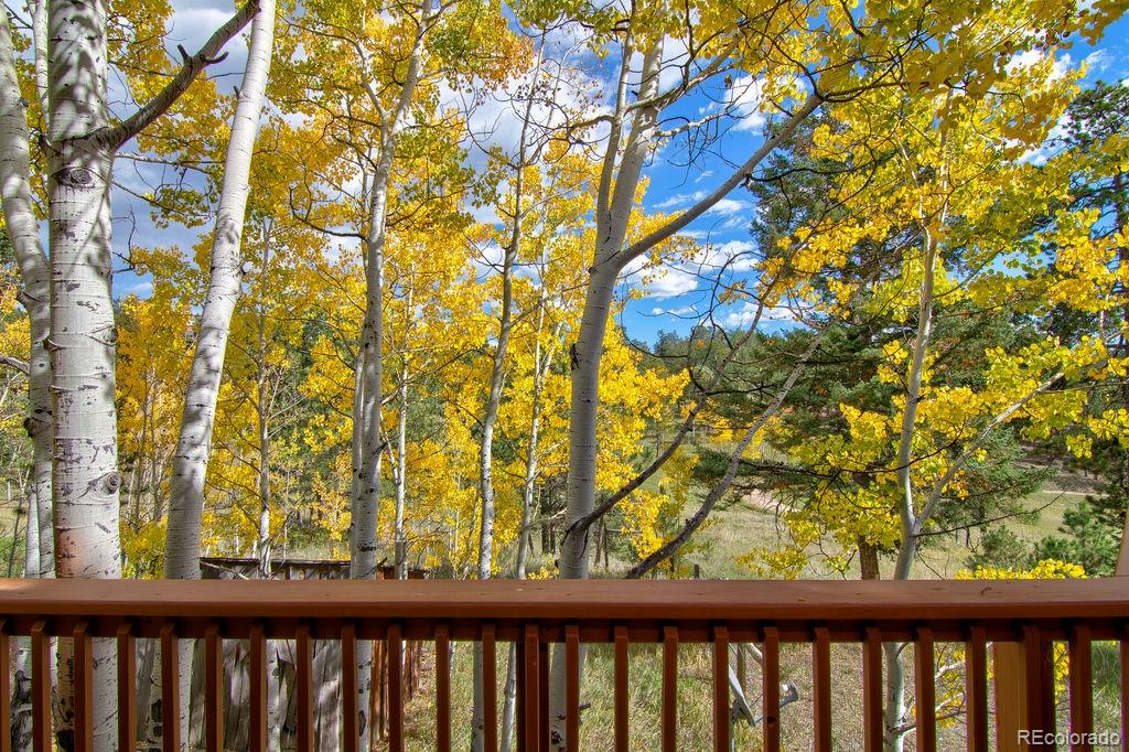 13082 South Wamblee Valley Road Conifer, CO 80433 - Photo 47 of 50 Gallery Image 47