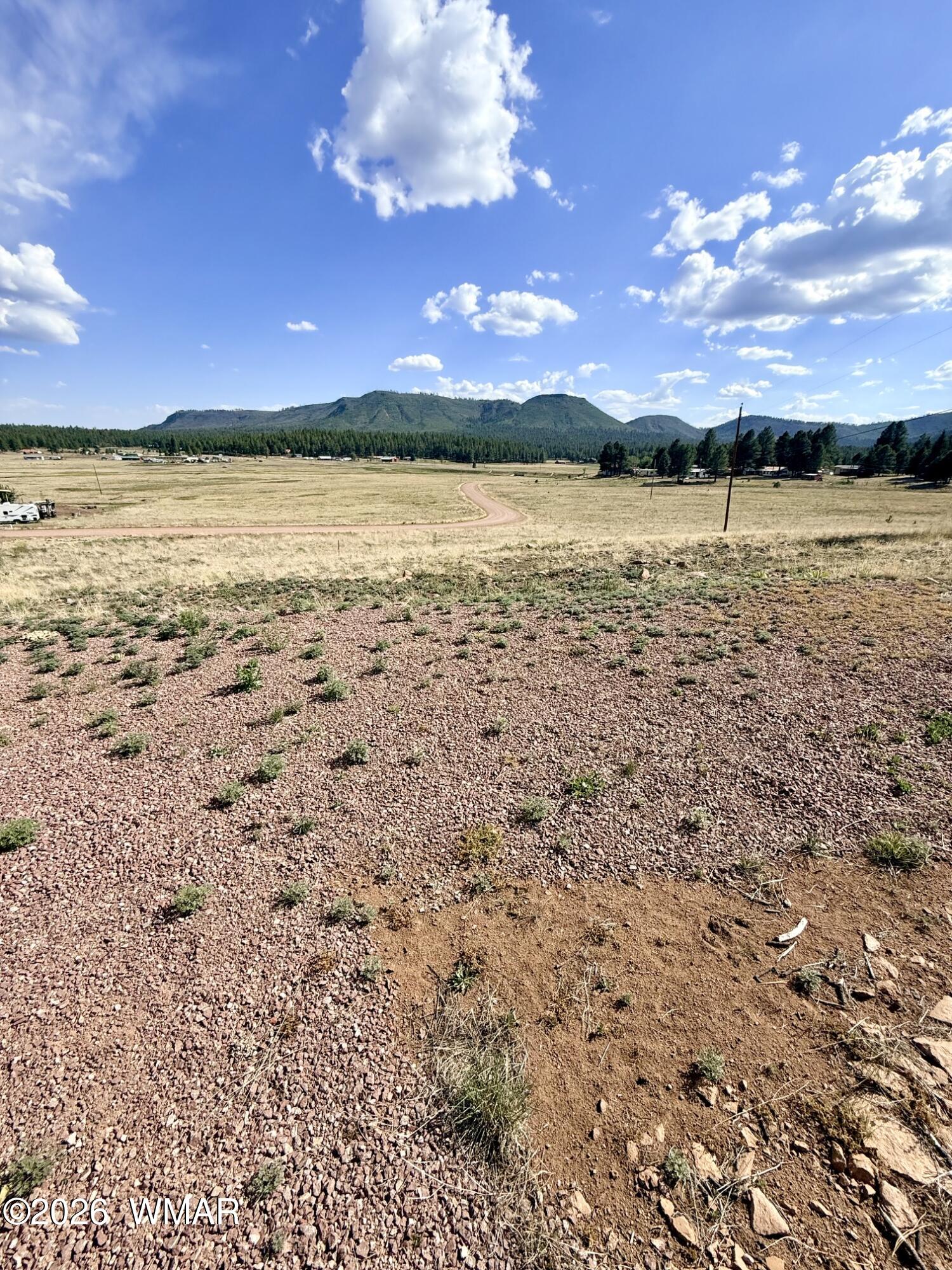 32 The Ranch Alpine, AZ 85920 - Photo 9 of 11