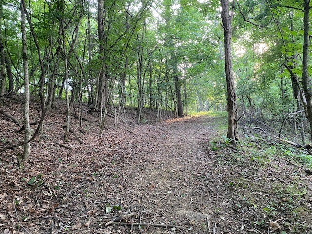 250 Hurt Road Hendersonville, TN 37075 - Photo 4 of 9 a view of a forest with trees in the background