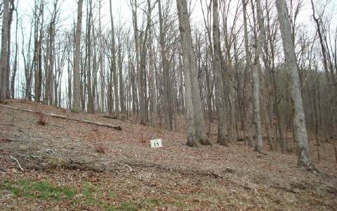 15 Mineral Springs Ridge Blue Ridge, GA 30513 - Photo 1 of 1 a view of wooden fence with trees in the background