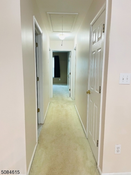 313 Hannah Way Bridgewater, NJ 08807 - Photo 7 of 15