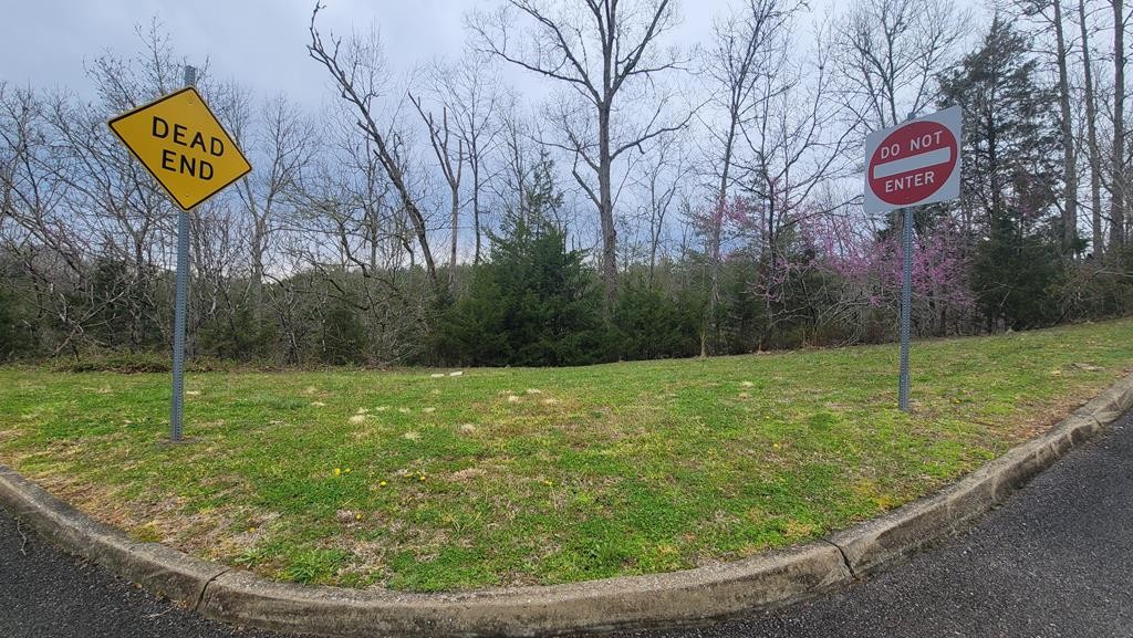 0 Eagle Springs Road Sevierville, TN 37876 - Photo 1 of 5