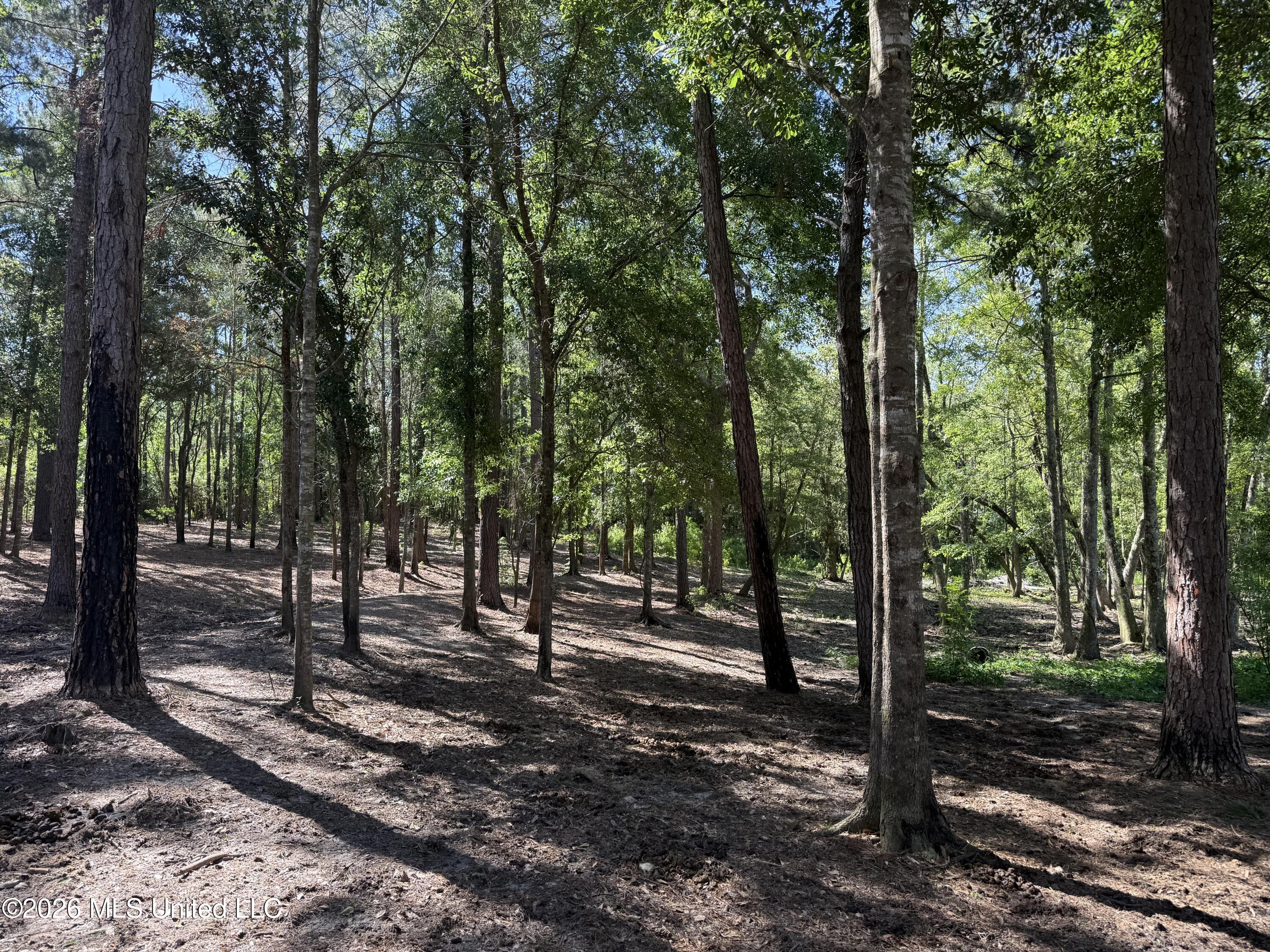 12876 Indian Springs Road Picayune, MS 39466 - Photo 18 of 30 IMG_4158