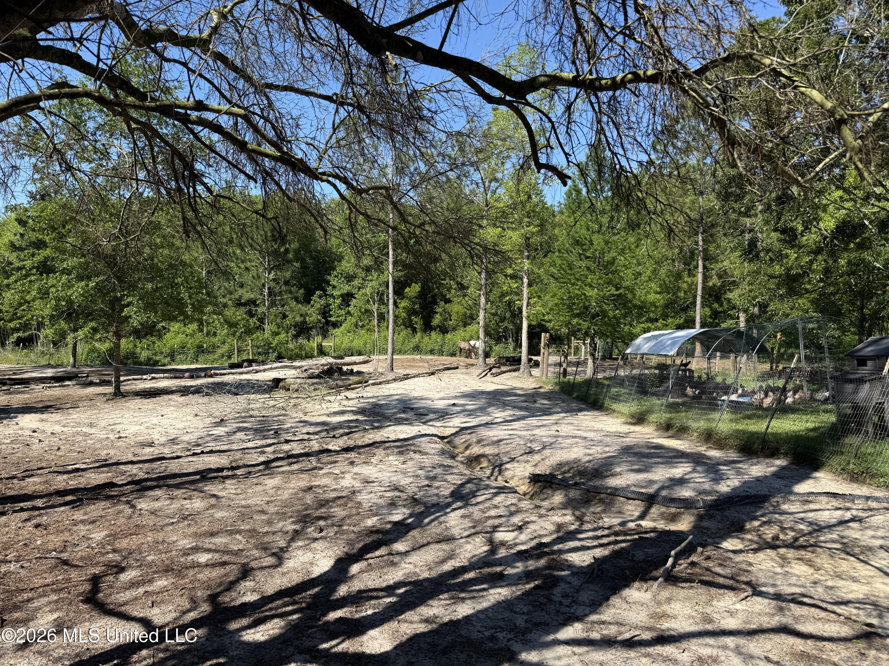 12876 Indian Springs Road Picayune, MS 39466 - Photo 20 of 30 IMG_4151