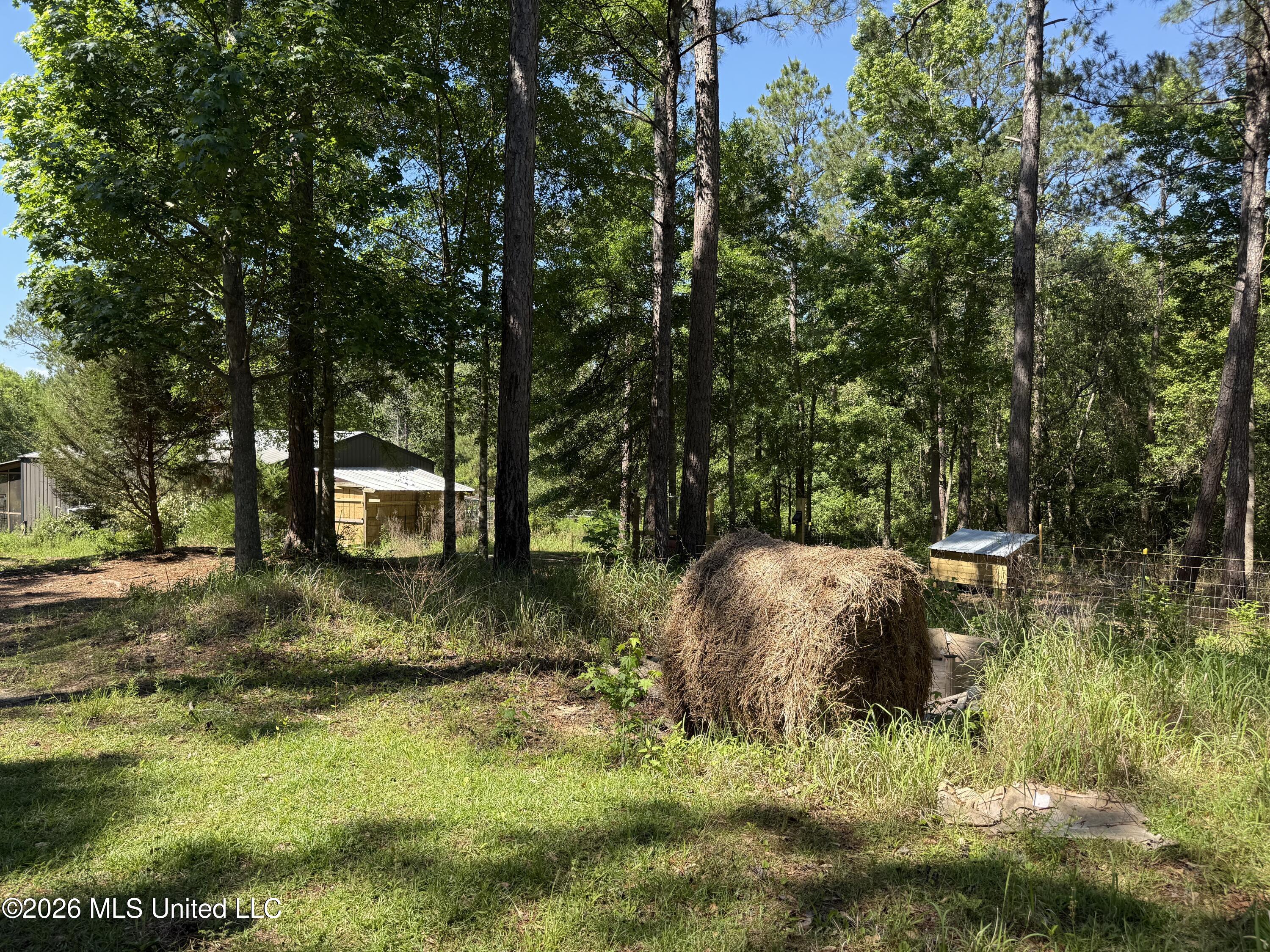 12876 Indian Springs Road Picayune, MS 39466 - Photo 24 of 30 IMG_4178