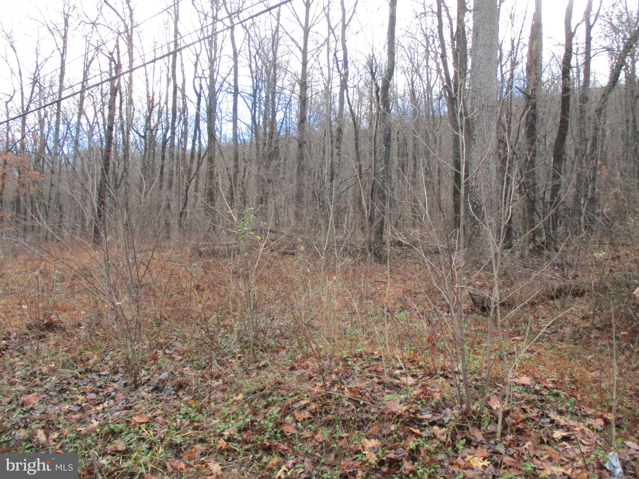 Lot 5 Nancy Jack Road Gerrardstown, WV 25420 - Photo 1 of 4 Gallery Image 1
