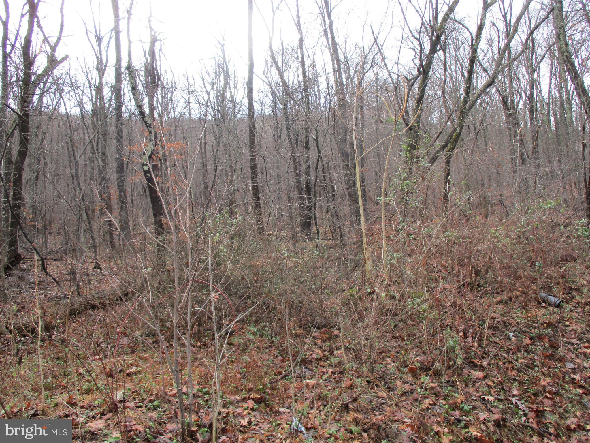 Lot 5 Nancy Jack Road Gerrardstown, WV 25420 - Photo 3 of 4 Gallery Image 3