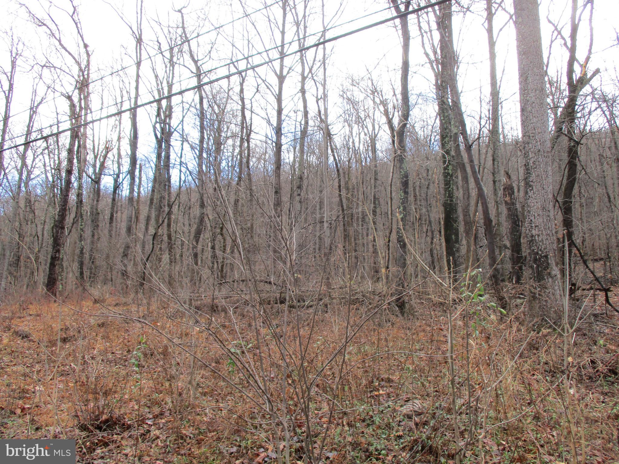 Lot 5 Nancy Jack Road Gerrardstown, WV 25420 - Photo 4 of 4 Gallery Image 4