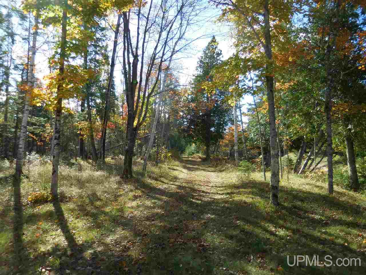 2795 Rice Road Gulliver, MI 49840 - Photo 14 of 27 Gallery Image 14