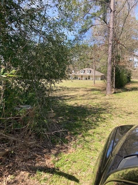 18 Frey Road Elmer, LA 71424 - Photo 2 of 8 Gallery Image 2
