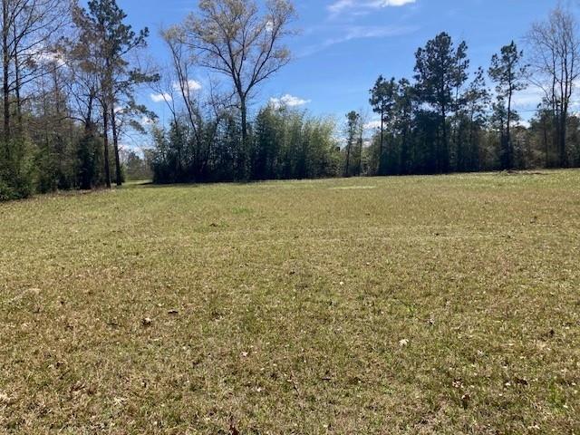 18 Frey Road Elmer, LA 71424 - Photo 8 of 8 Gallery Image 8