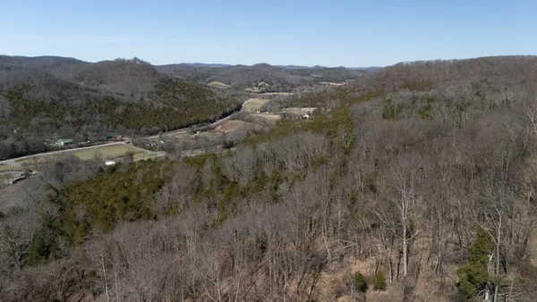 a view of a forest with mountains in the background