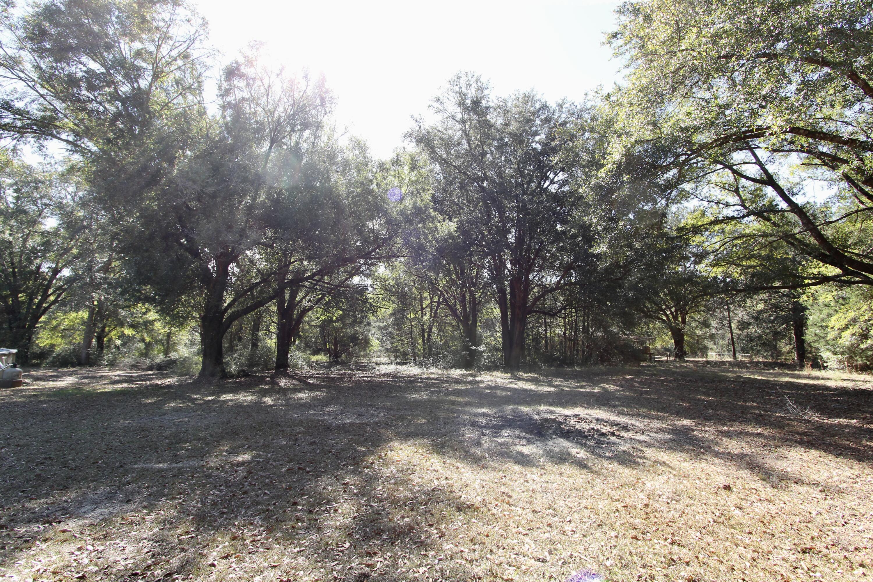 7722 Clary Road Laurel Hill, FL 32567 - Photo 35 of 36 IMG_3516