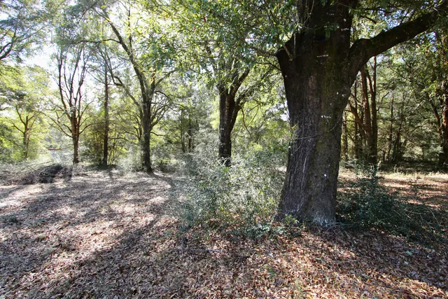 $249,900 | 7722 Clary Road, Laurel Hill, FL 32567