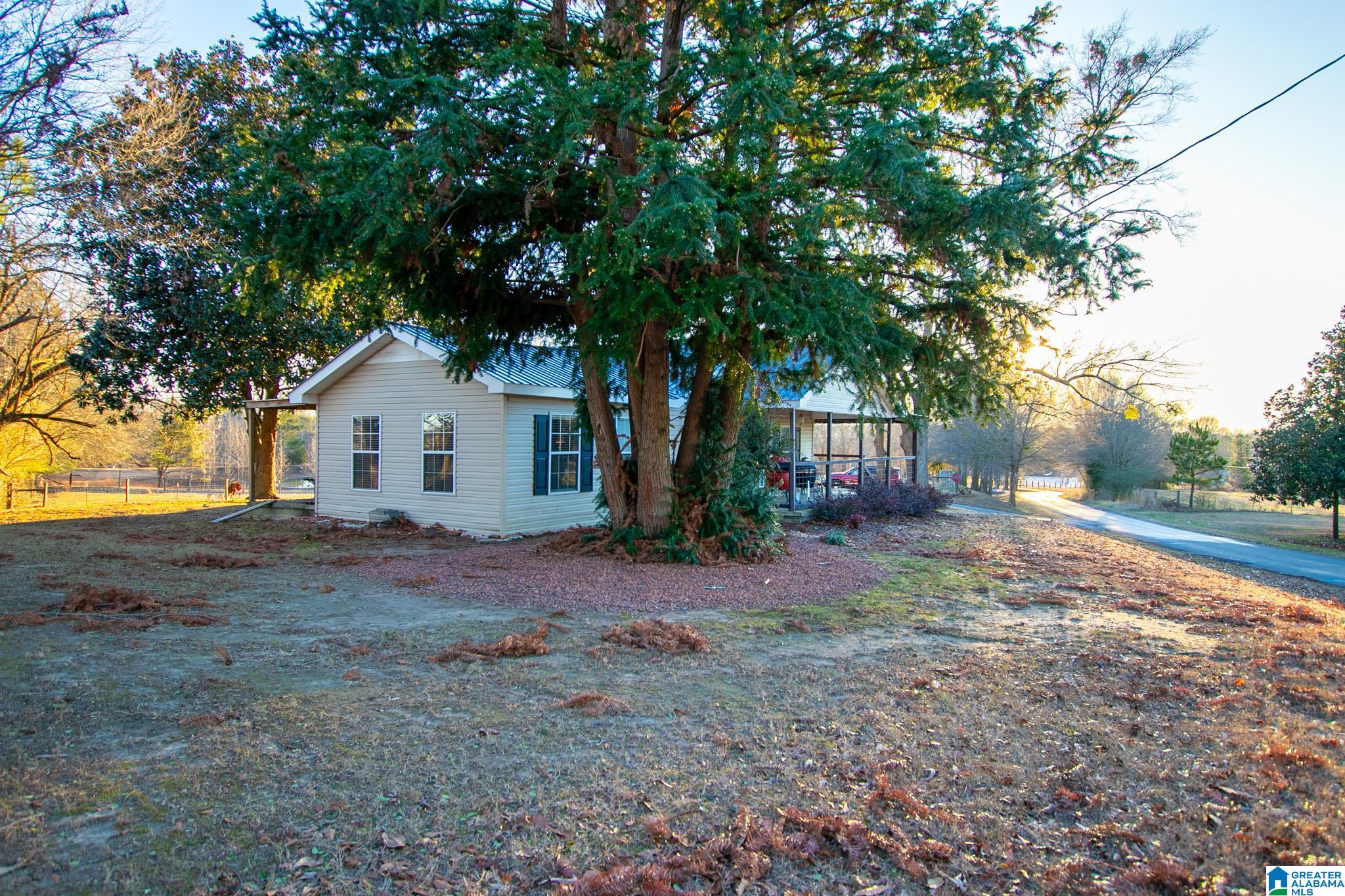 756 Ridgeway Road Altoona, AL 35952 - Photo 10 of 40