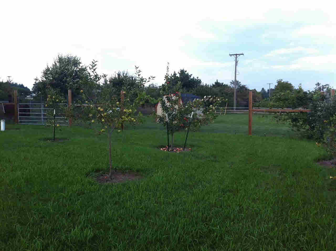 2276 South Fenner Road Caro, MI 48723 - Photo 48 of 52