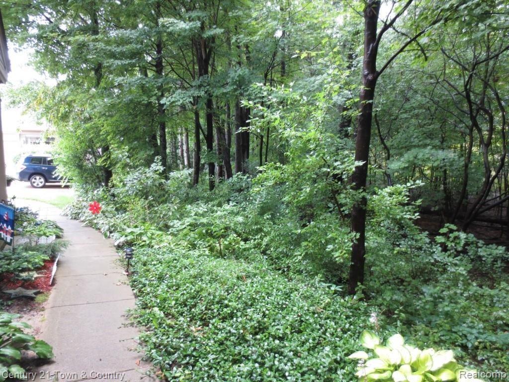 80 Pine Tree Ridge, Unit 32 Waterford, MI 48327 - Photo 3 of 26 Beautiful Setting in Complex