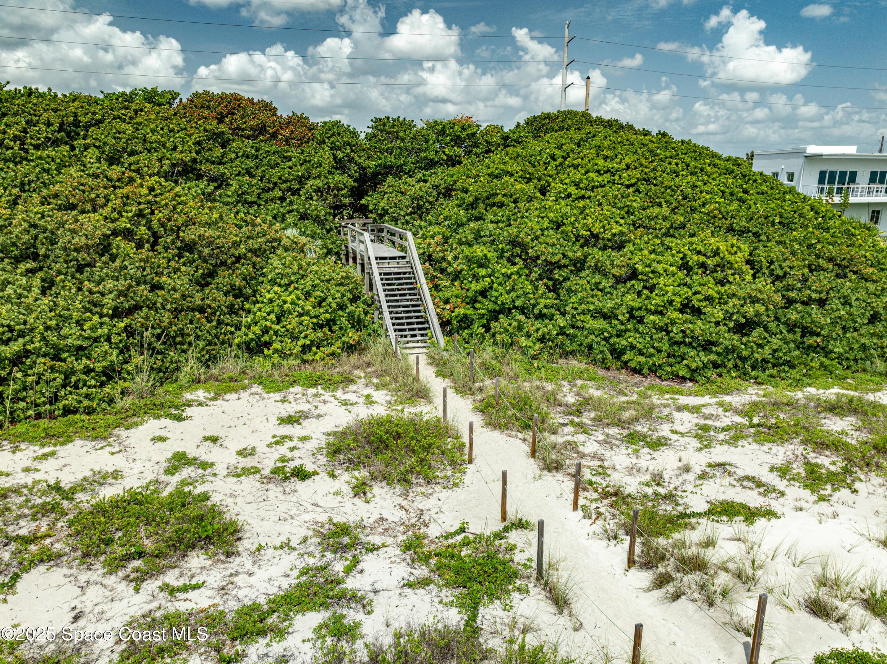 1700 Atlantic Street, Unit 9 Melbourne Beach, FL 32951 - Photo 4 of 30 a view of a yard with plants and tree