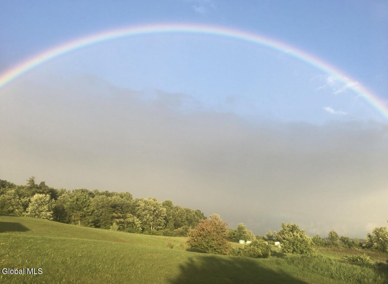 124 Mineral Springs Road Melrose, NY 12121 - Photo 40 of 44 IMG_7624