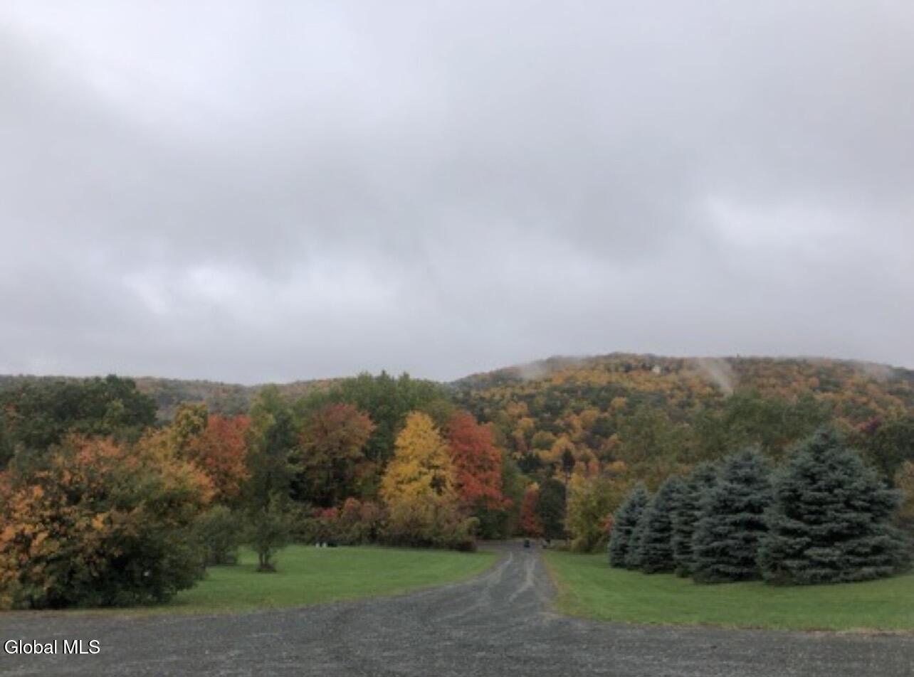124 Mineral Springs Road Melrose, NY 12121 - Photo 42 of 44 IMG_7639