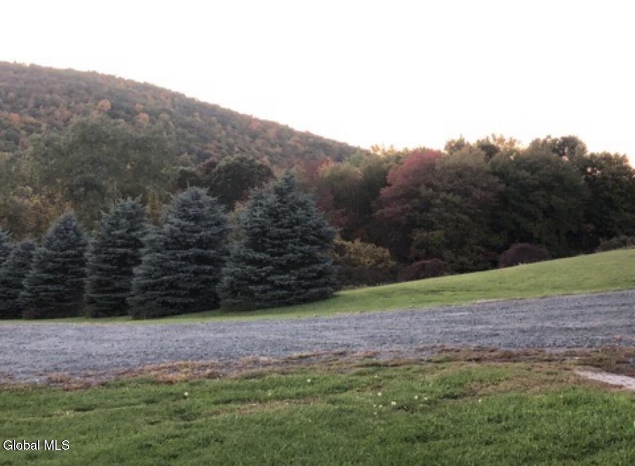 124 Mineral Springs Road Melrose, NY 12121 - Photo 43 of 44 IMG_7645