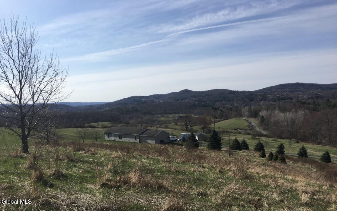 124 Mineral Springs Road Melrose, NY 12121 - Photo 44 of 44 IMG_7650