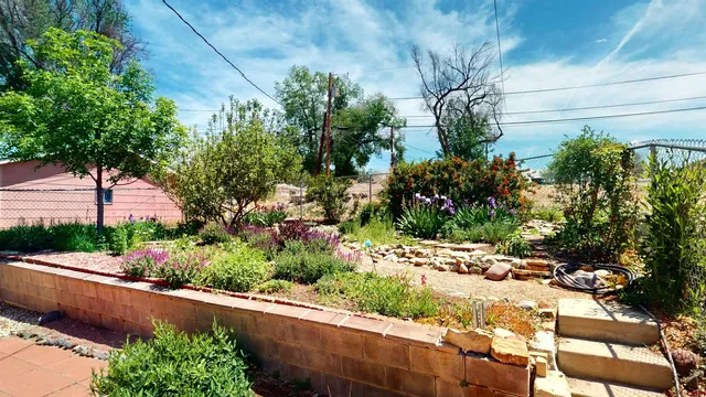 a view of a garden with flower plants