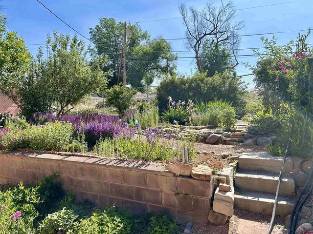 a view of backyard with outdoor seating and green space